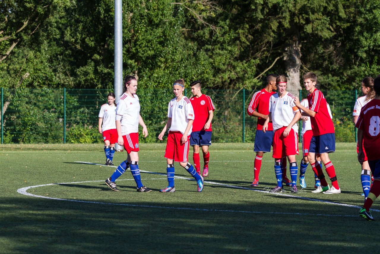 Bild 239 - Frauen HSV - cJun Eintracht Norderstedt : Ergebnis: 1:16